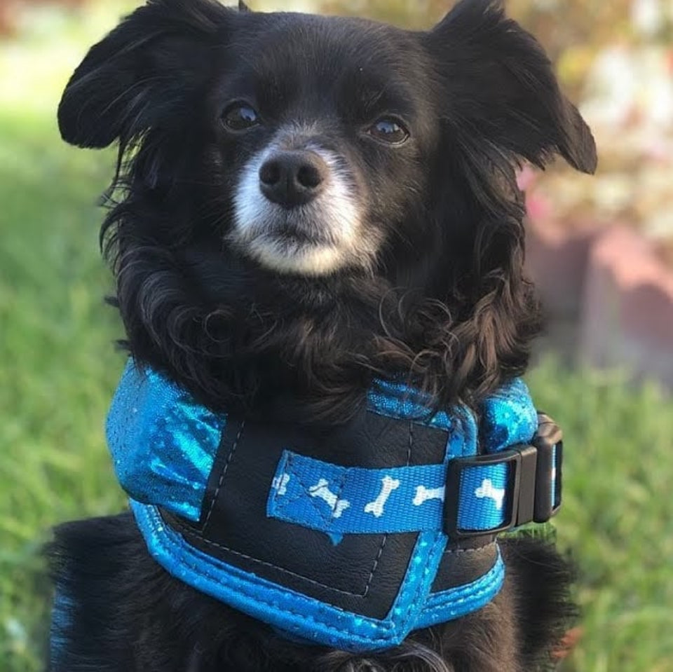 Spike Bite Vest by Bark Knight - Protective Dog Vest