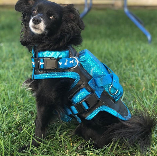 Spike Bite Vest by Bark Knight - Protective Dog Vest